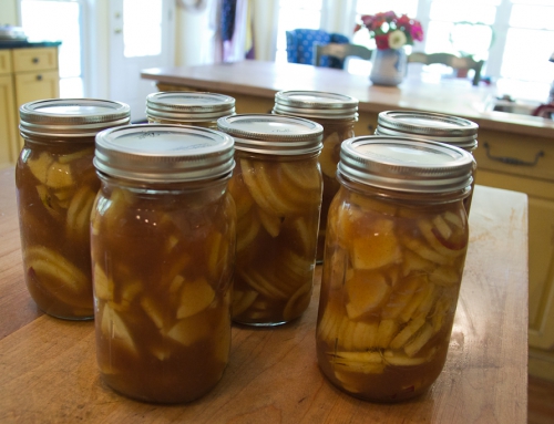 Apple Pie in a Jar