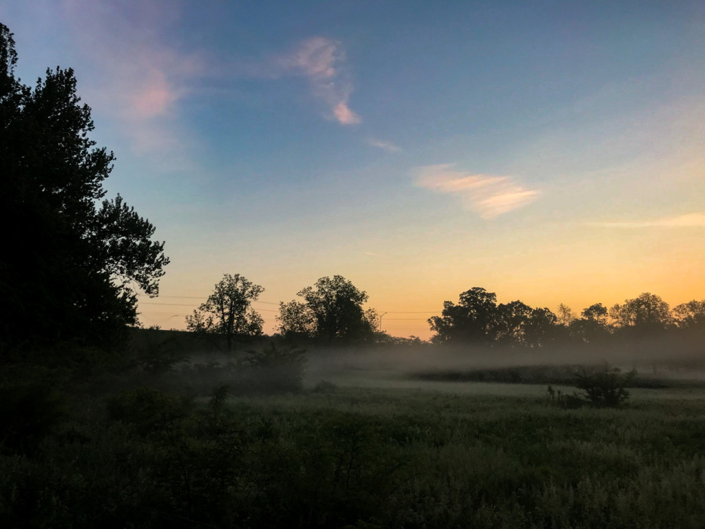 early morning fog