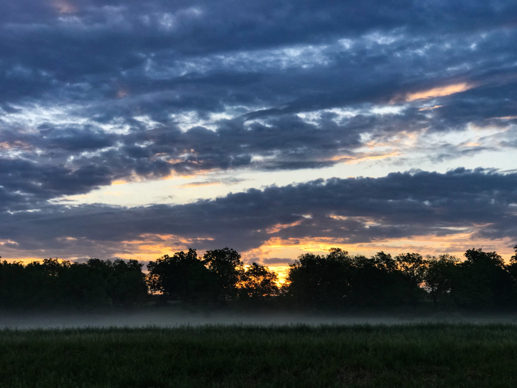 misty sunrise