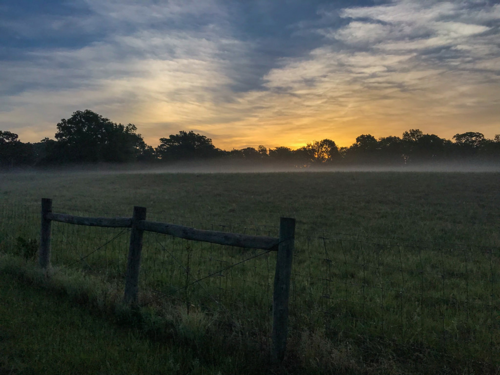 early morning sky