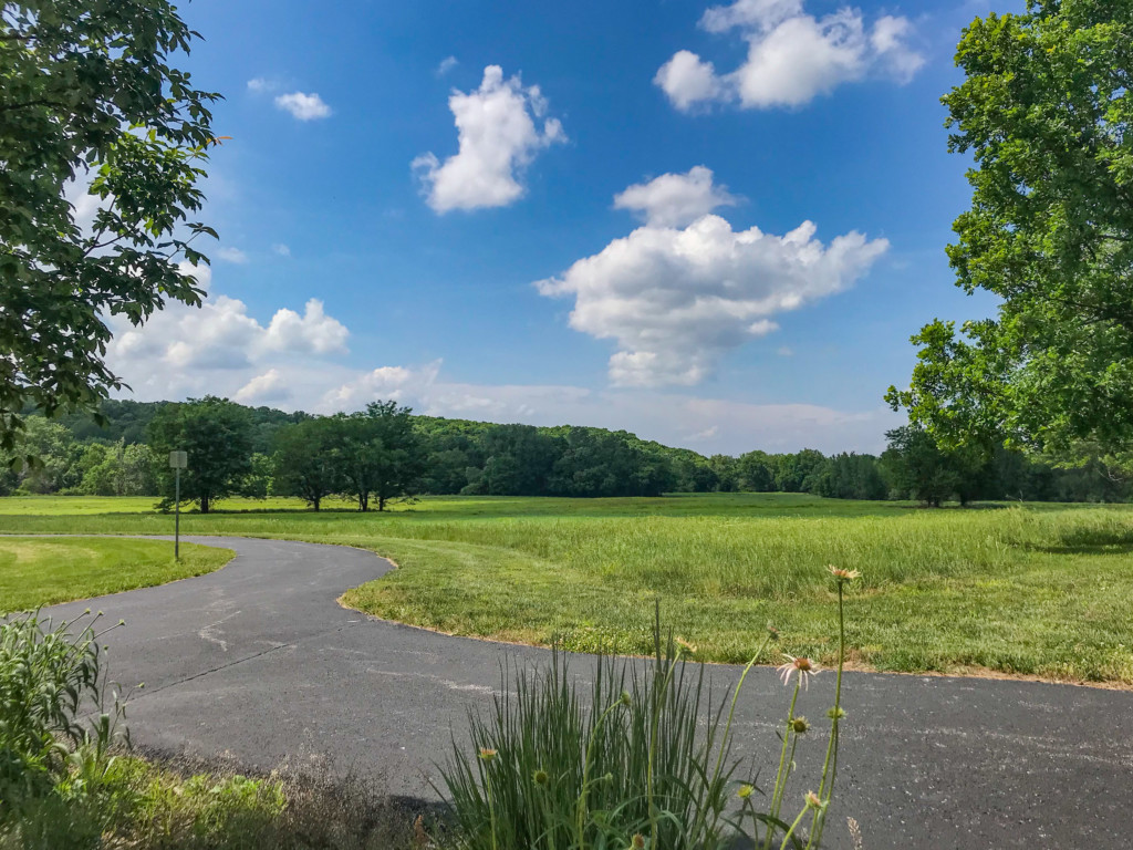 early summer sky