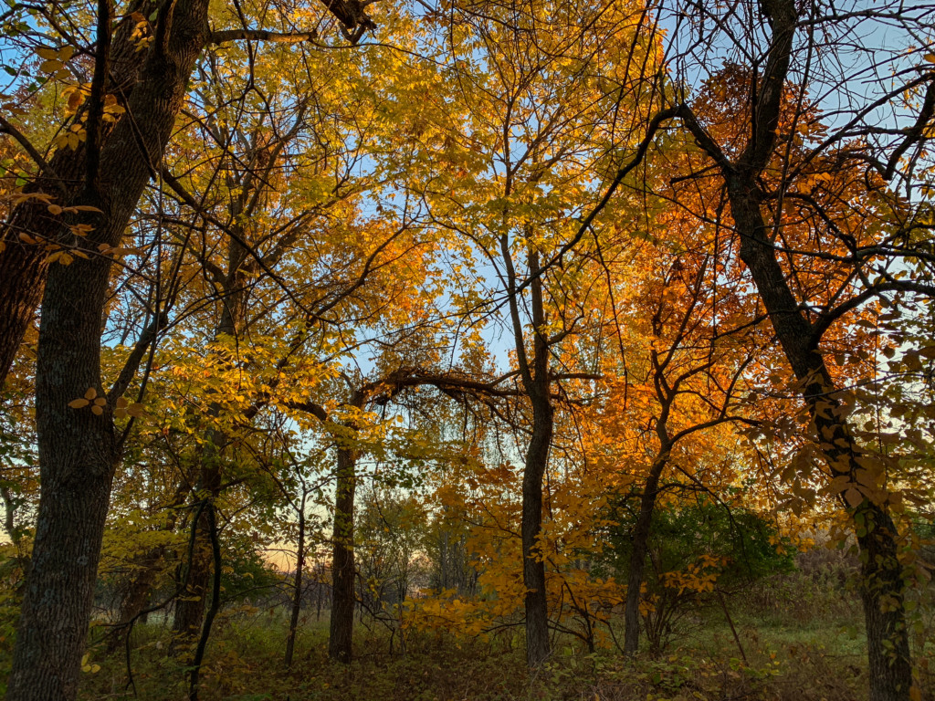 autumn sunrise