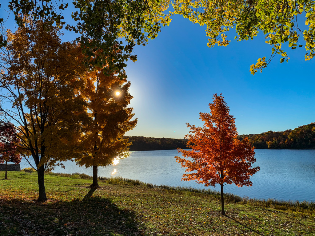 autumn lake sunrise