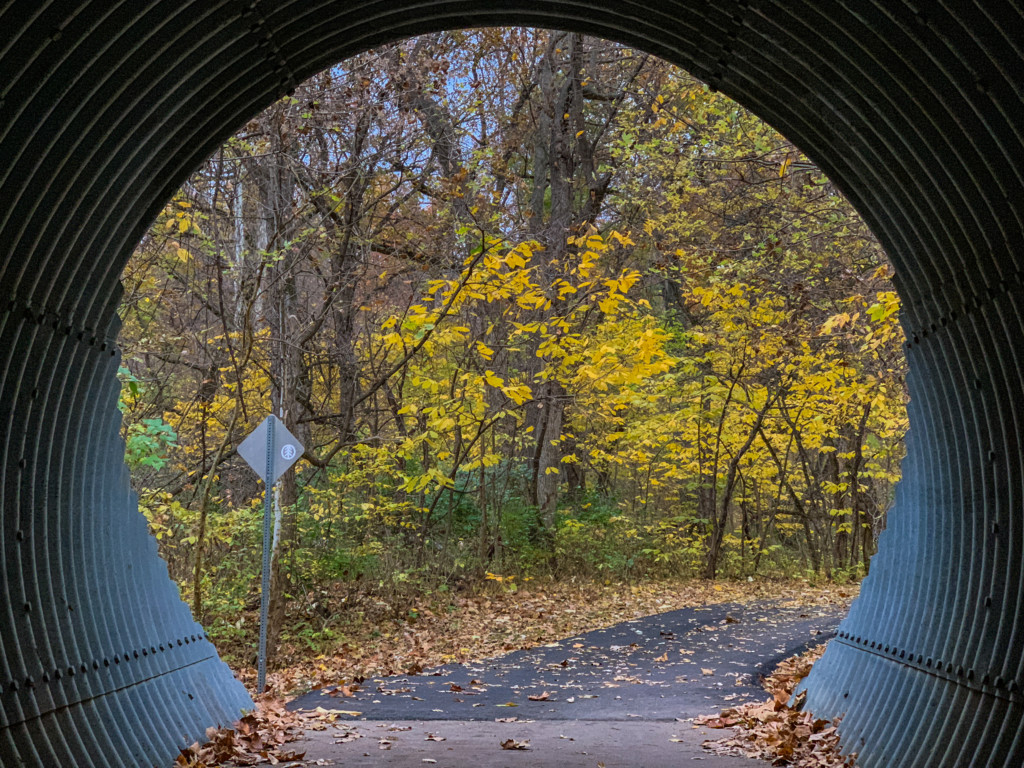 autumn tunnel