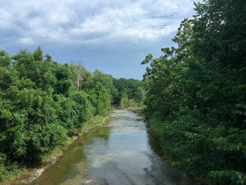 early morning river