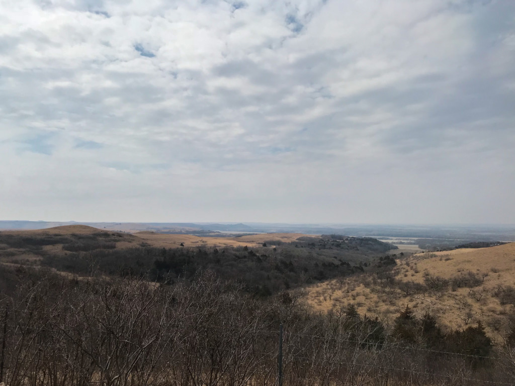 Midwestern winter landscape