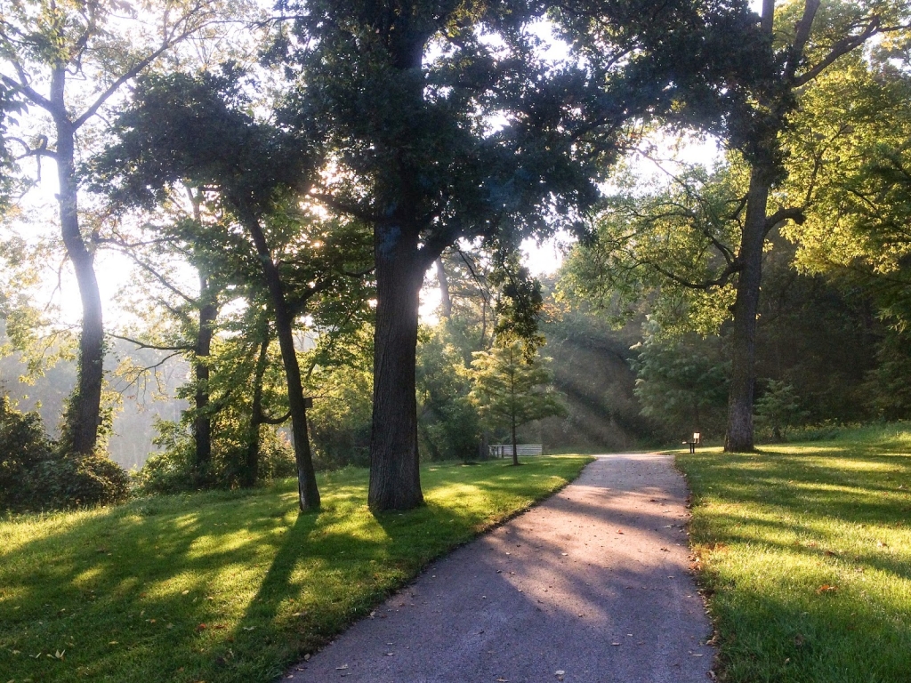 sunny path